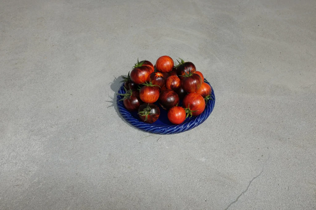 Nido - Wheel-thrown Ceramic Plate — 2