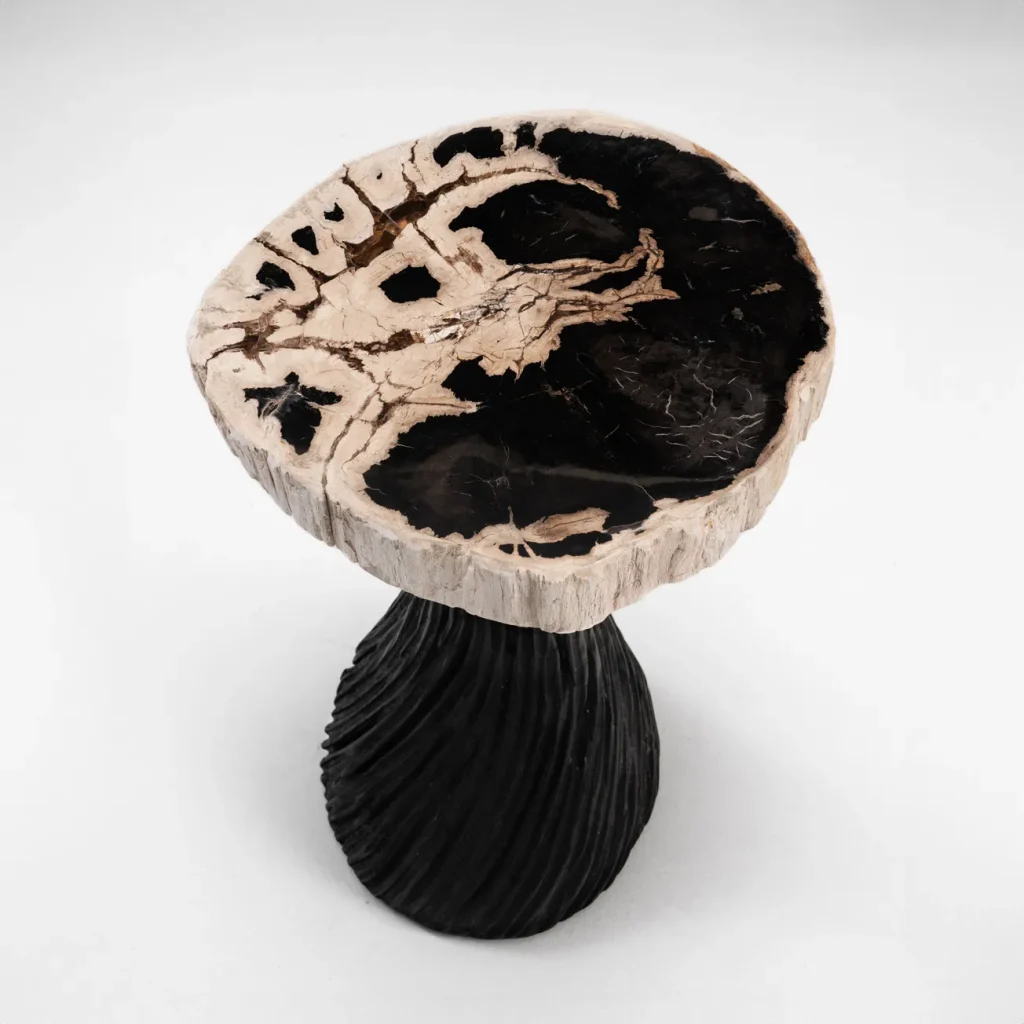 Twisted Fantasy - Hand-carved Petrified Wood Side Table — 4