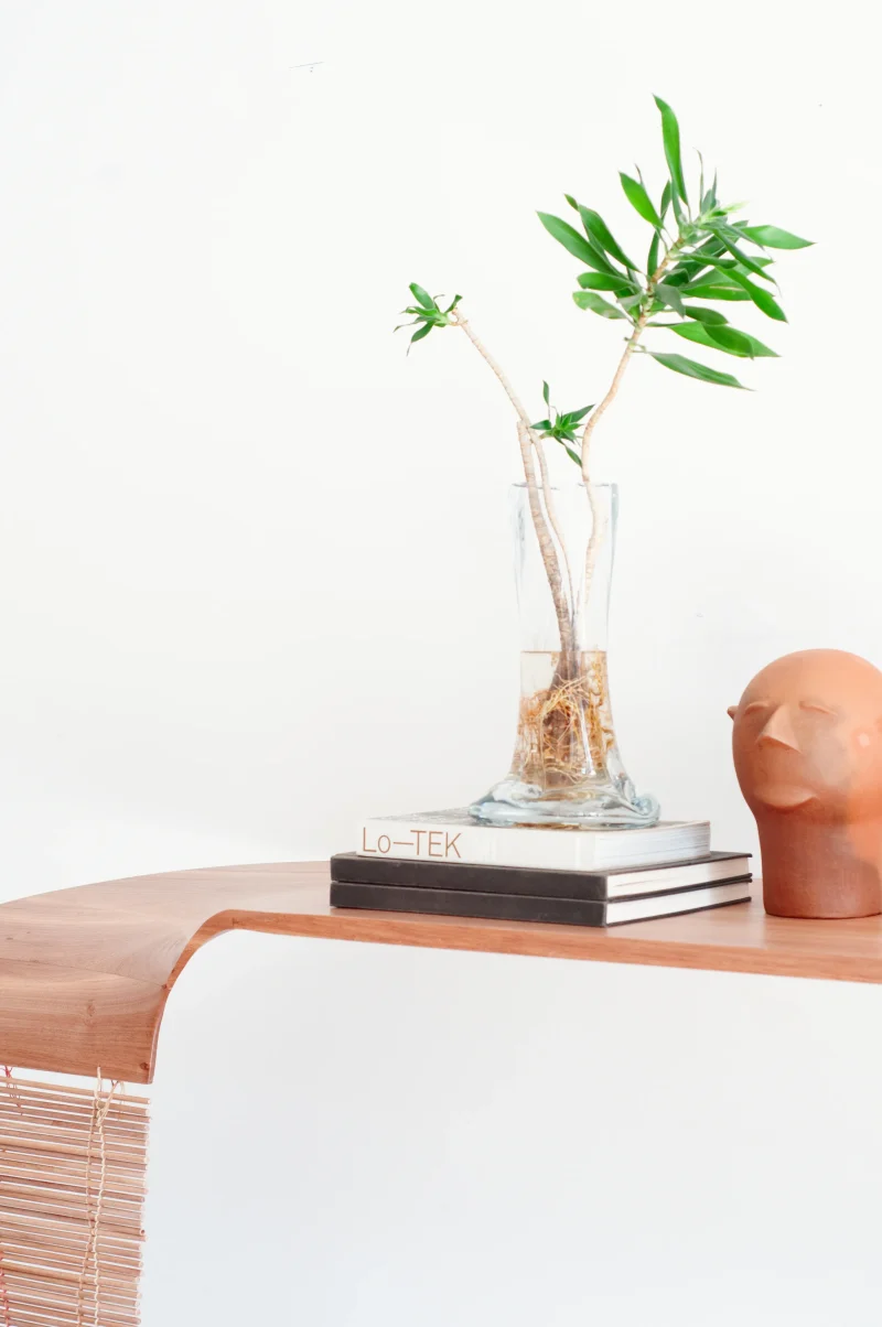 hola-9048-mariadela-fluid-1