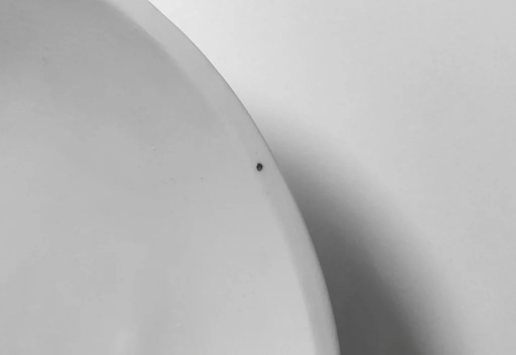 Geta - White Porcelain Bowl — 6