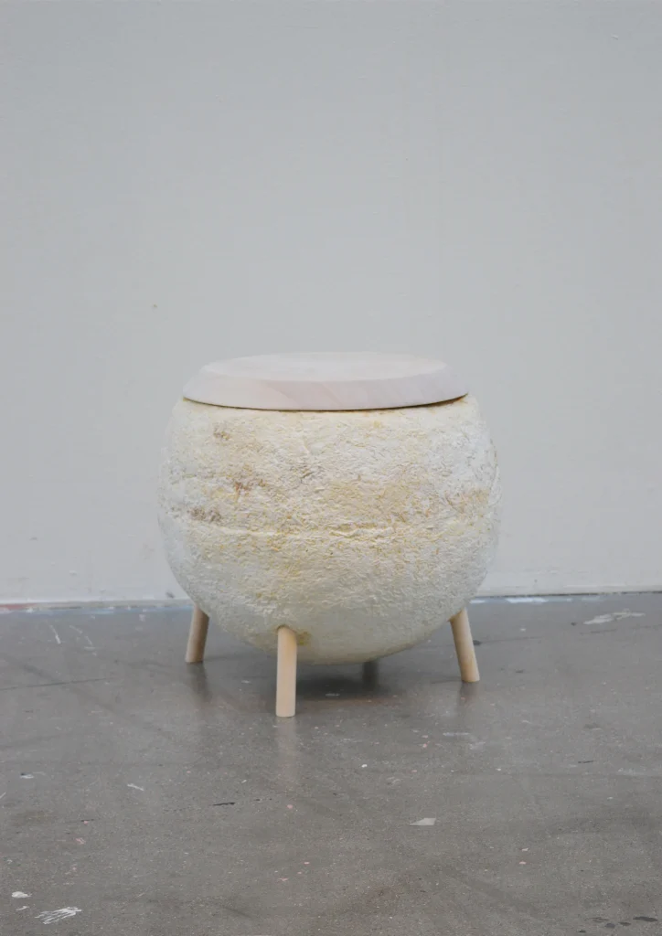 Sustainability Spore – Mycelium Stool