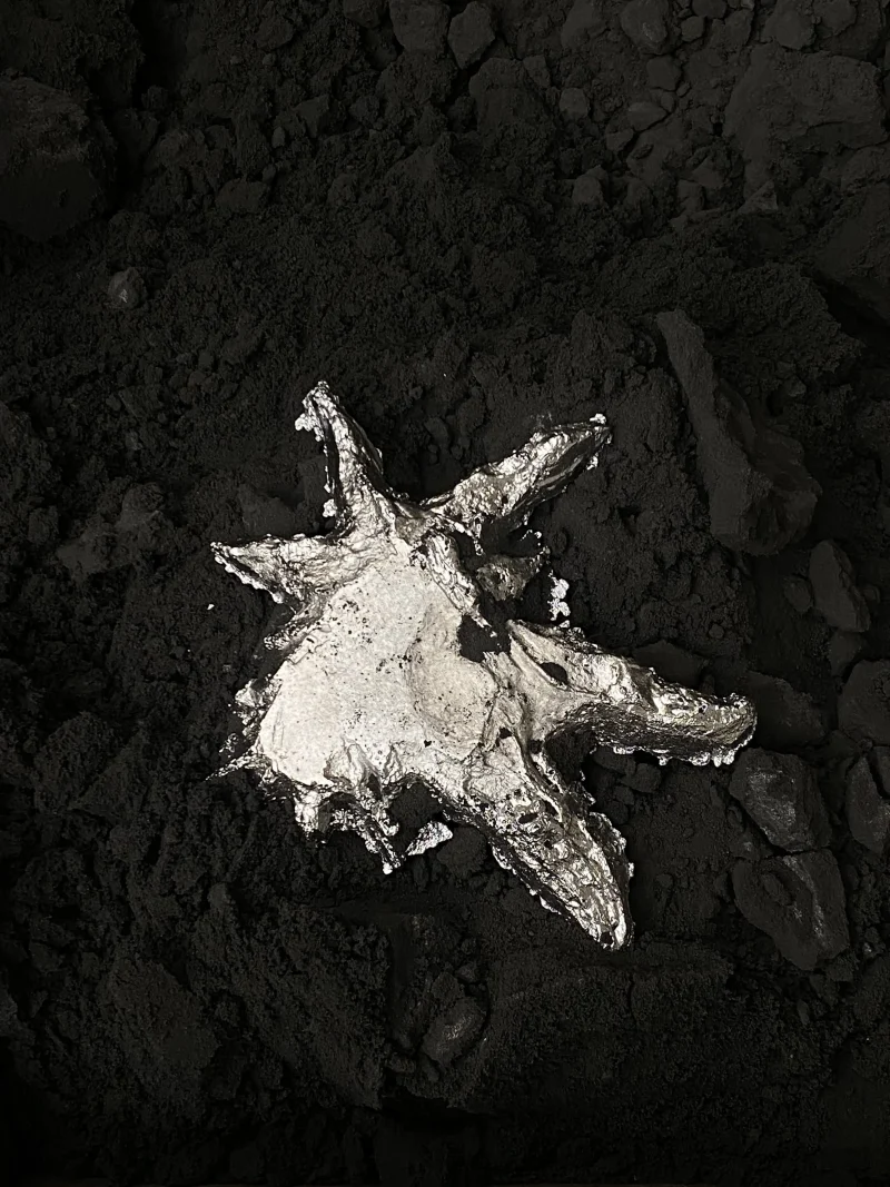 hola-9048-mariadela-fluid-1