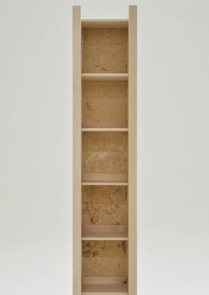 Chaga Shelf — 3