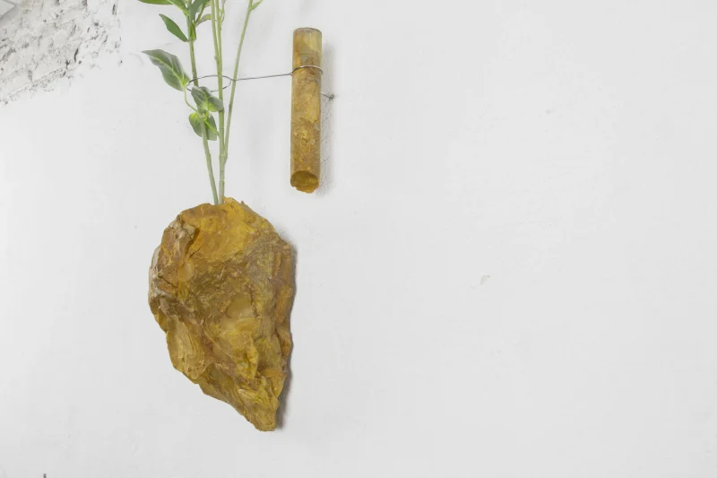 hola-9048-mariadela-fluid-1