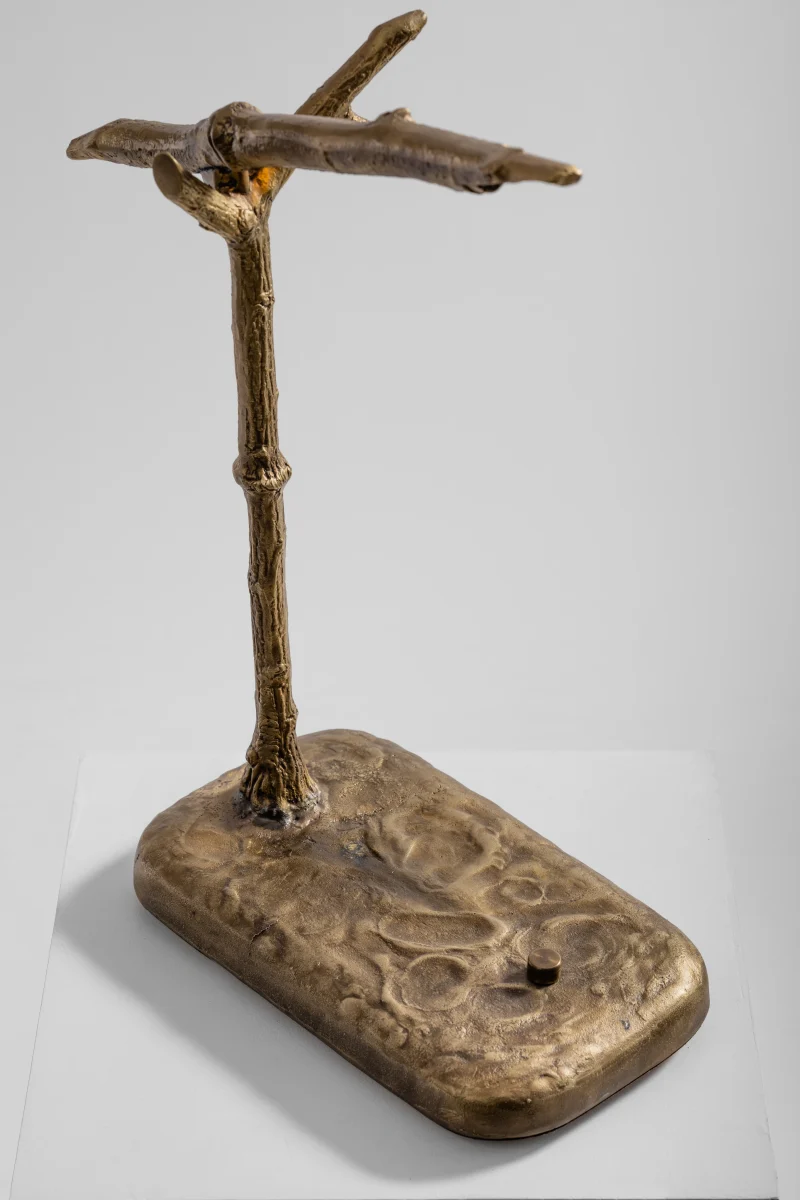 hola-9048-mariadela-fluid-1