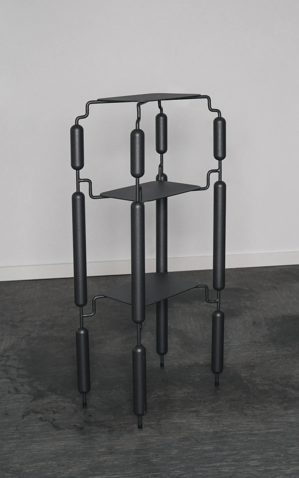 Poodle Stainless Steel Shelf
by Mati Sipiora
