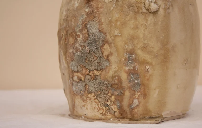 Melpomene - Rugged Stoneware Vase — 3