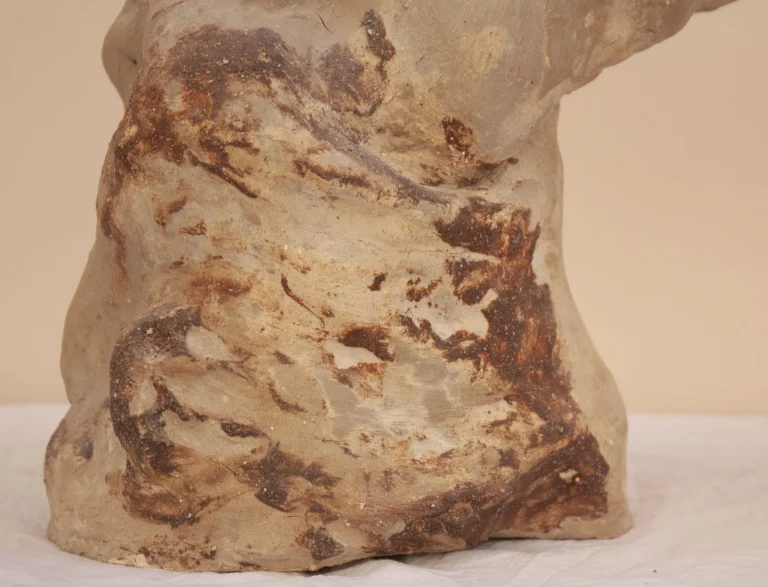Clio - Rustic Clay Vase — 5