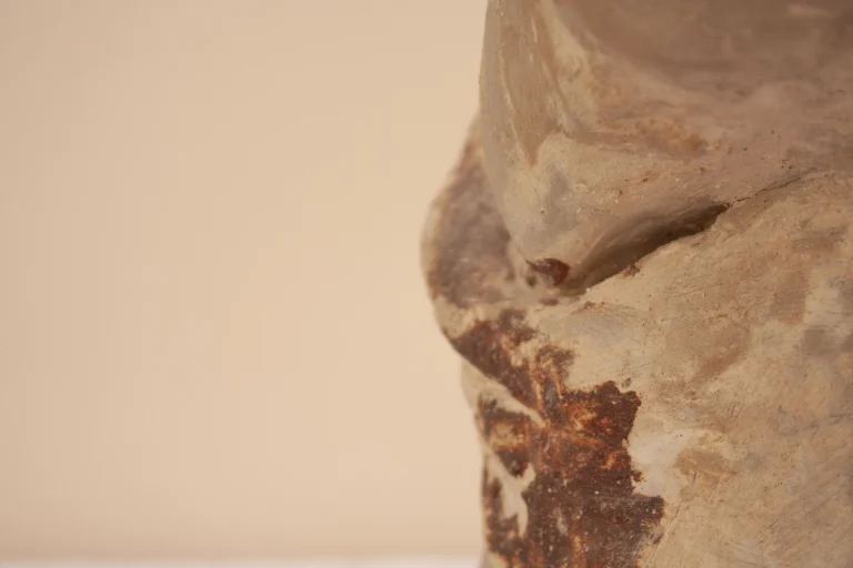Clio - Rustic Clay Vase — 8