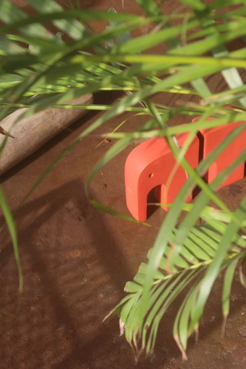 hola-9048-mariadela-fluid-1