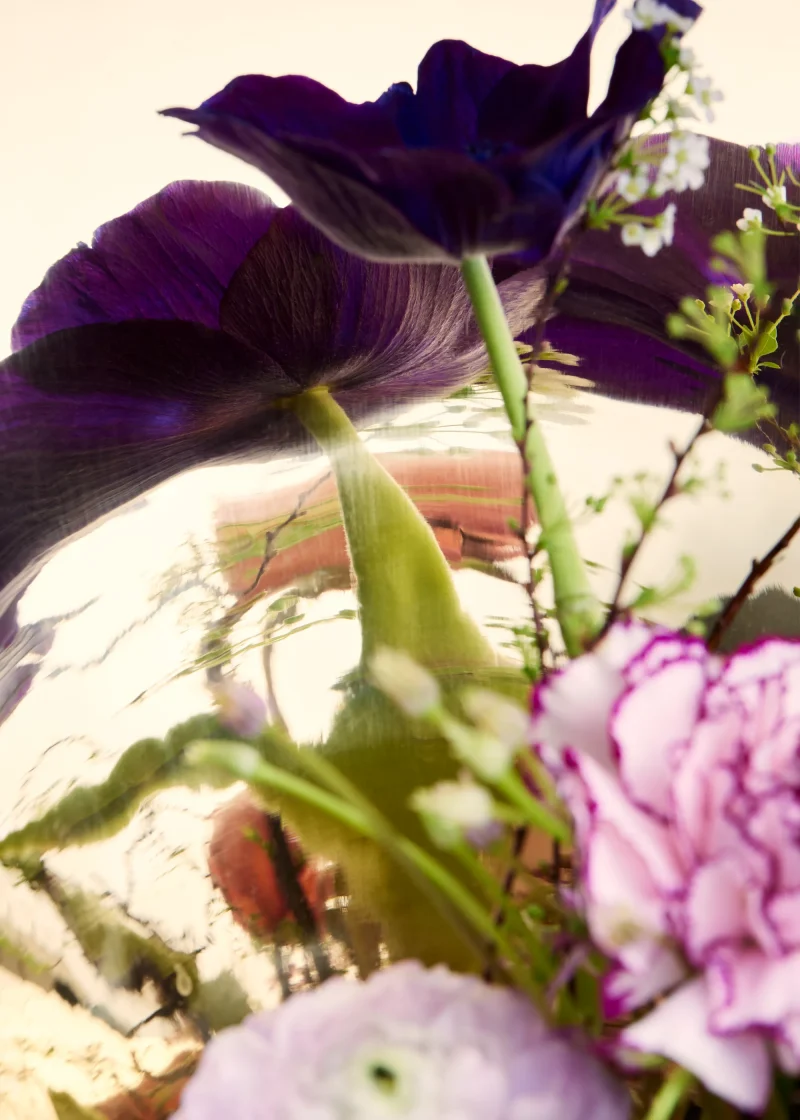 hola-9048-mariadela-fluid-1