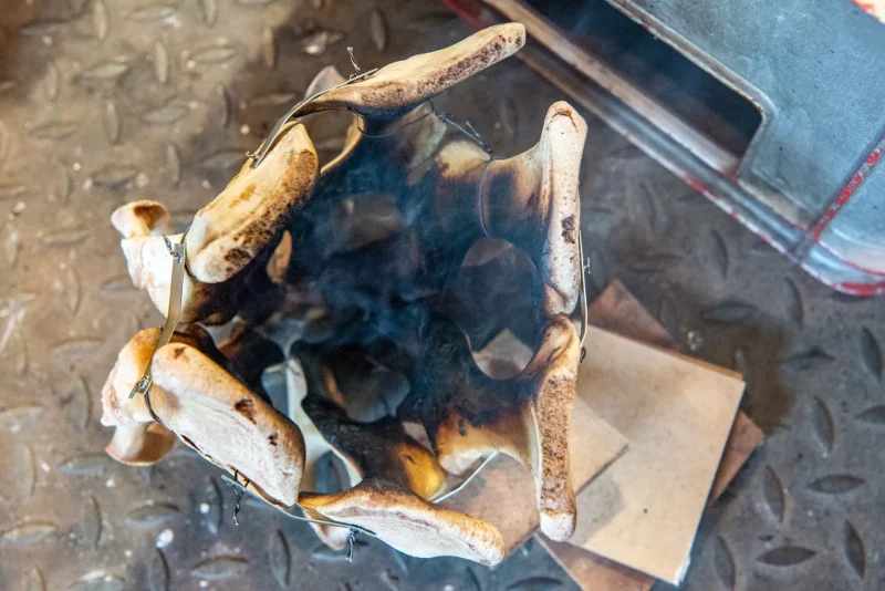 hola-9048-mariadela-fluid-1