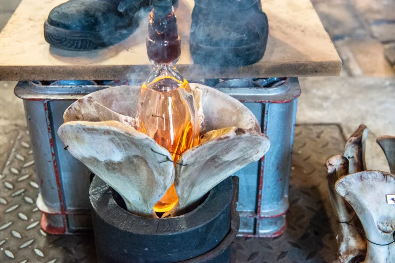 hola-9048-mariadela-fluid-1