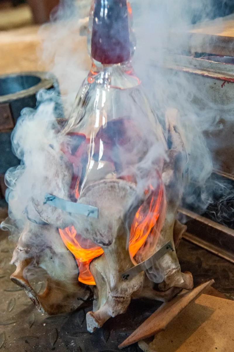 hola-9048-mariadela-fluid-1