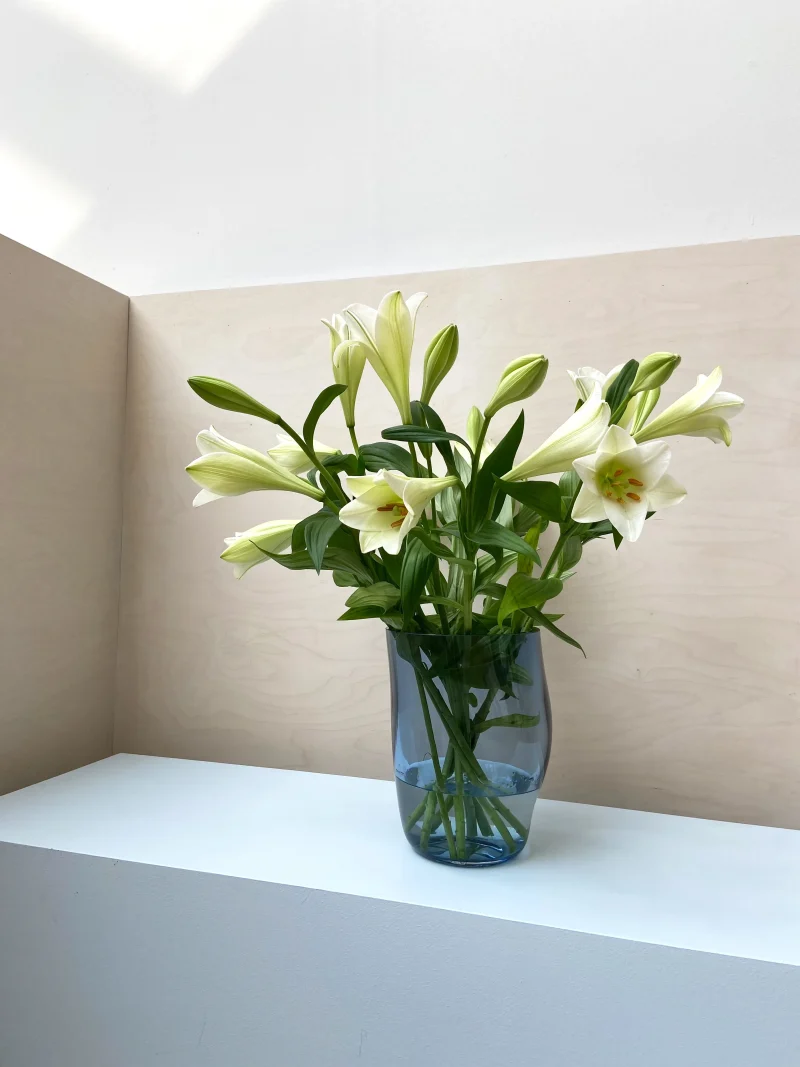 hola-9048-mariadela-fluid-1