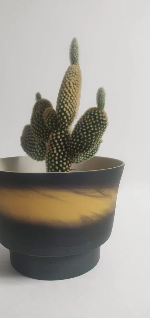 Paysages - Black And Yellow Small Bowl — 11