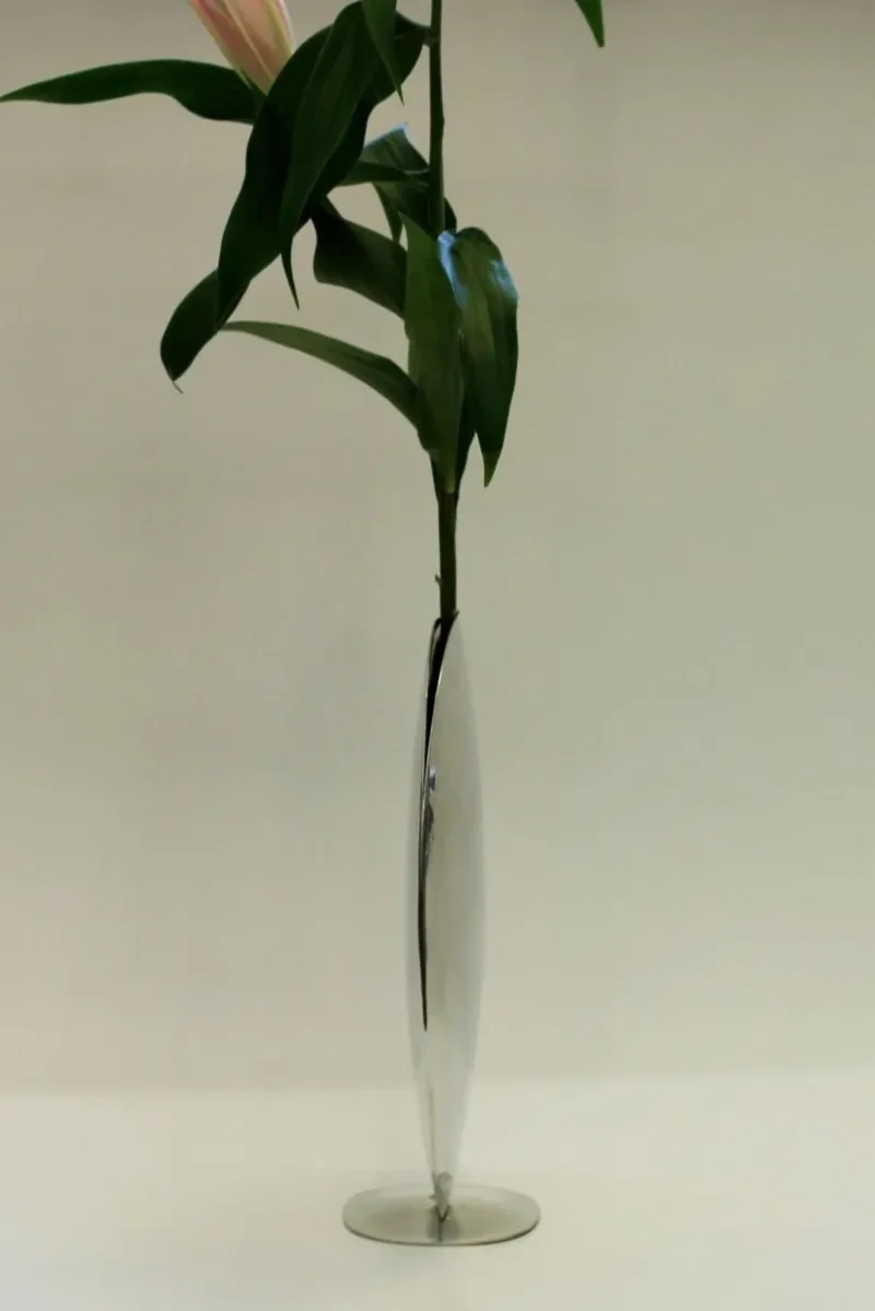 hola-9048-mariadela-fluid-1