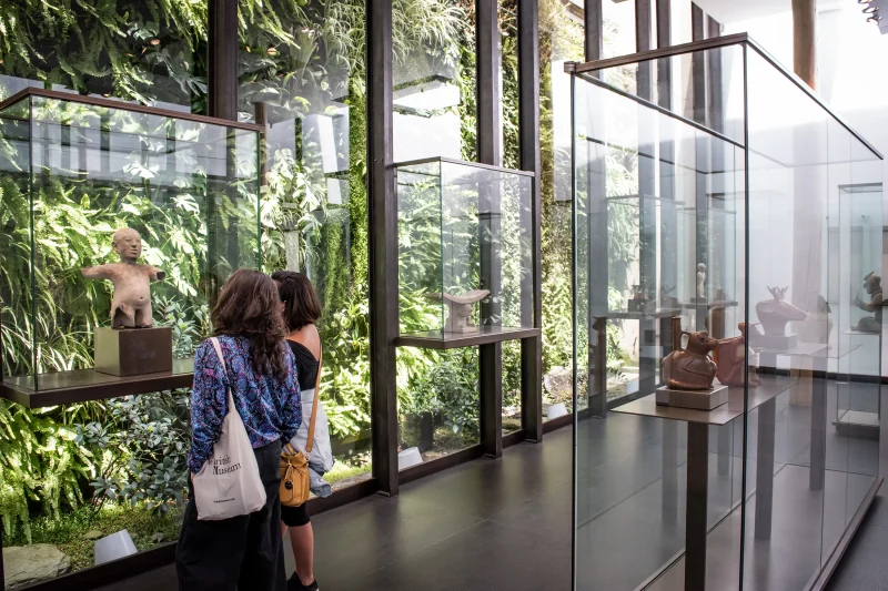 hola-9048-mariadela-fluid-1