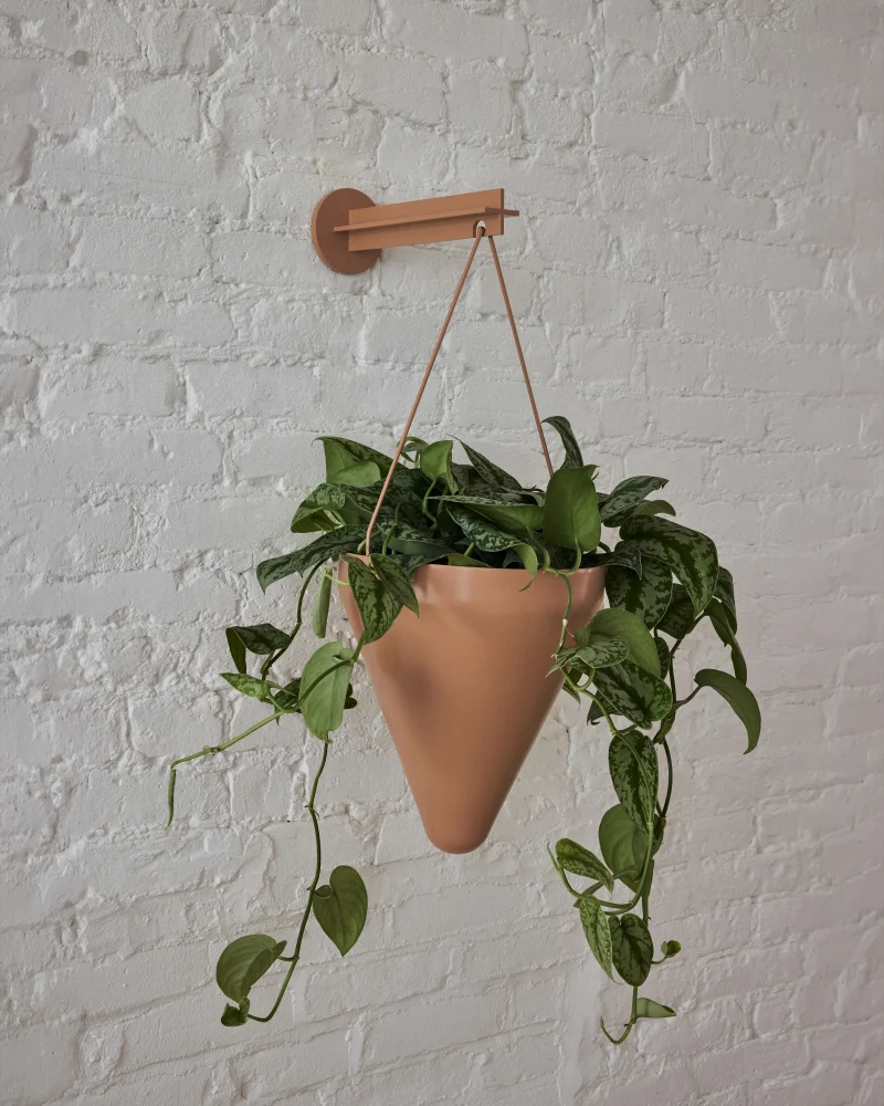 hola-9048-mariadela-fluid-1