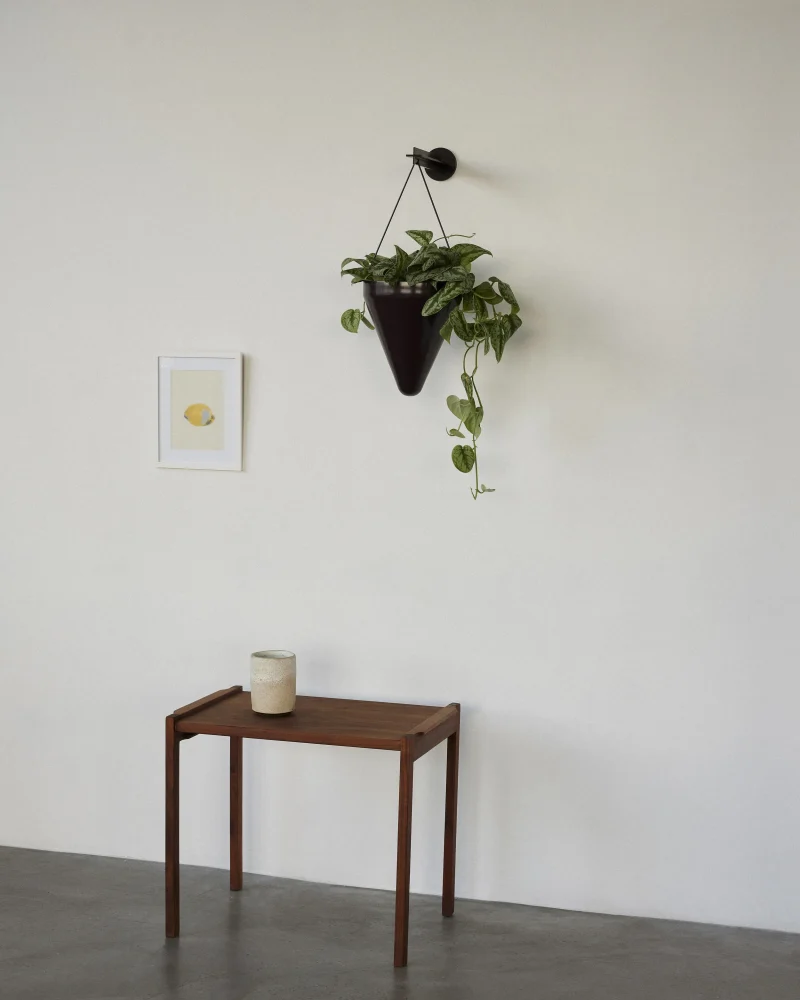 hola-9048-mariadela-fluid-1