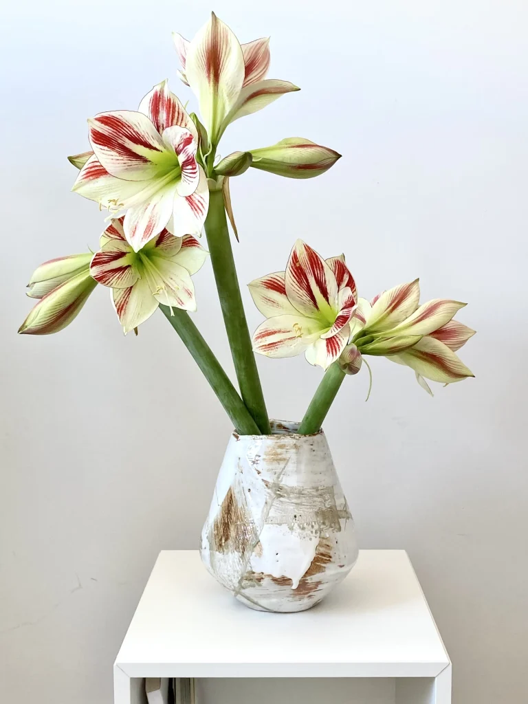 Shino - Wood-fired Vase — 5