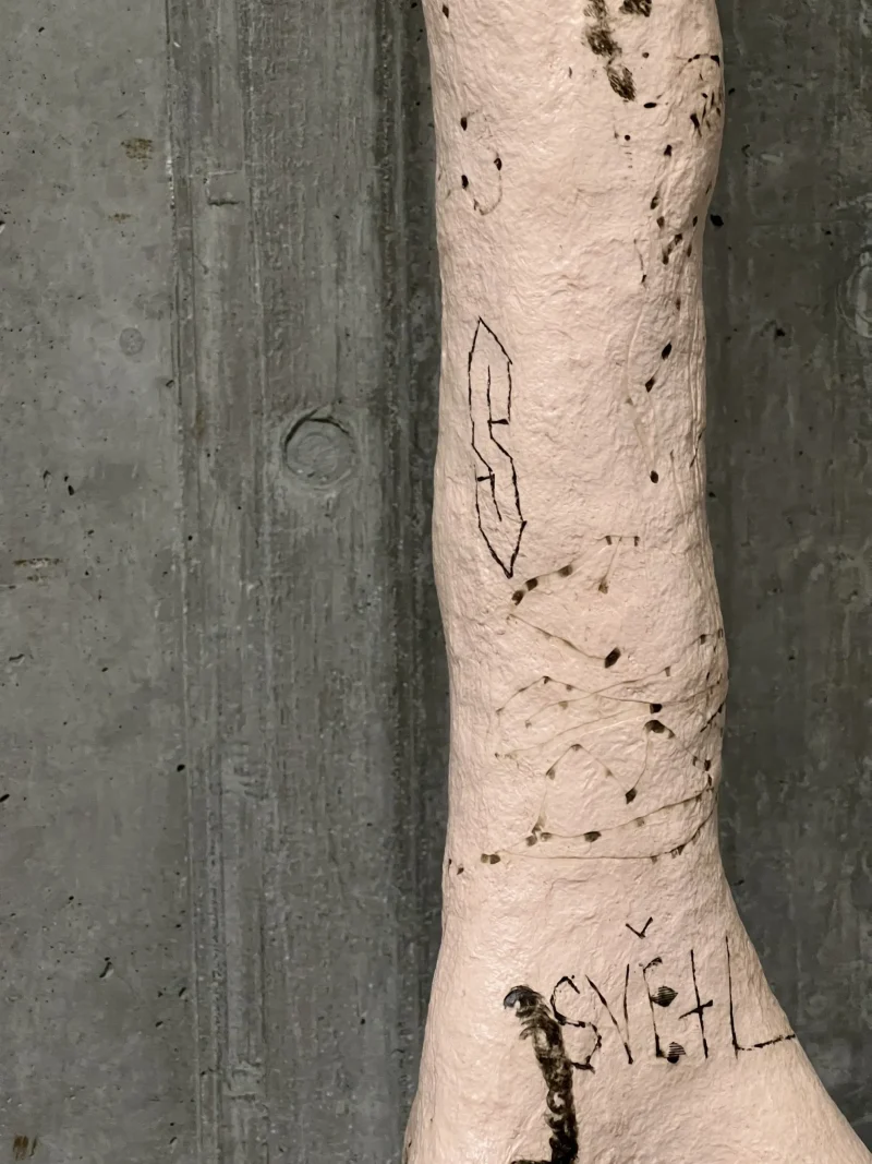 hola-9048-mariadela-fluid-1