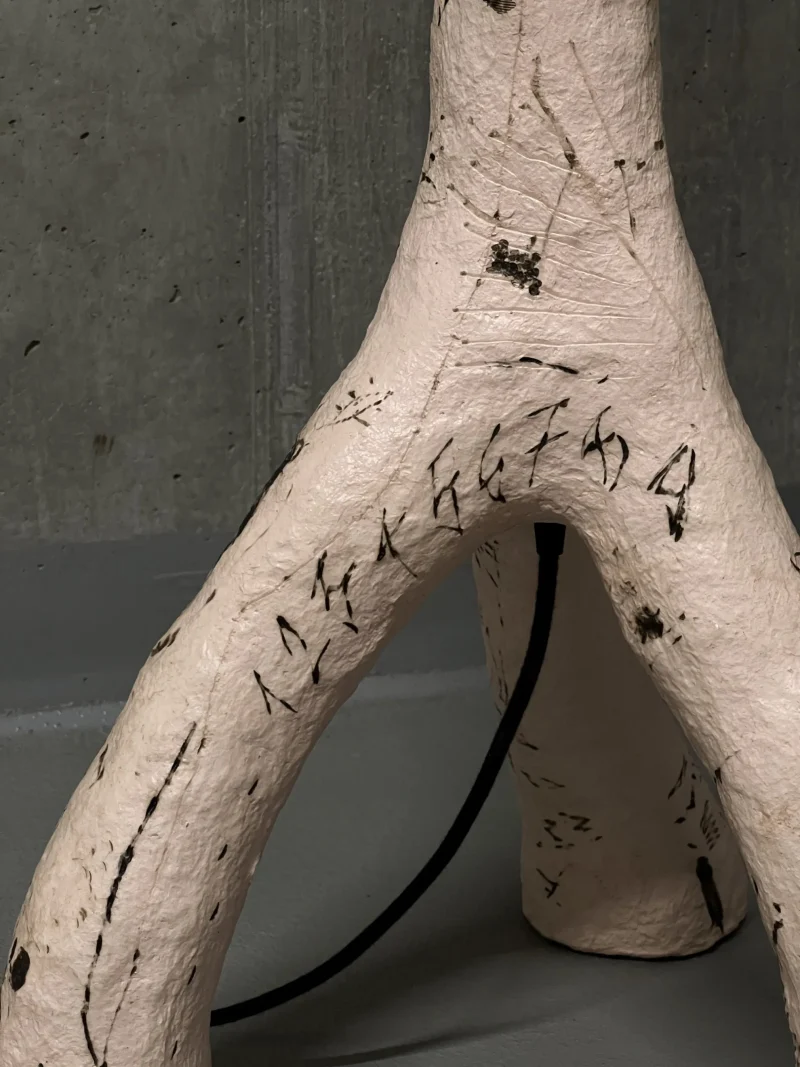 hola-9048-mariadela-fluid-1