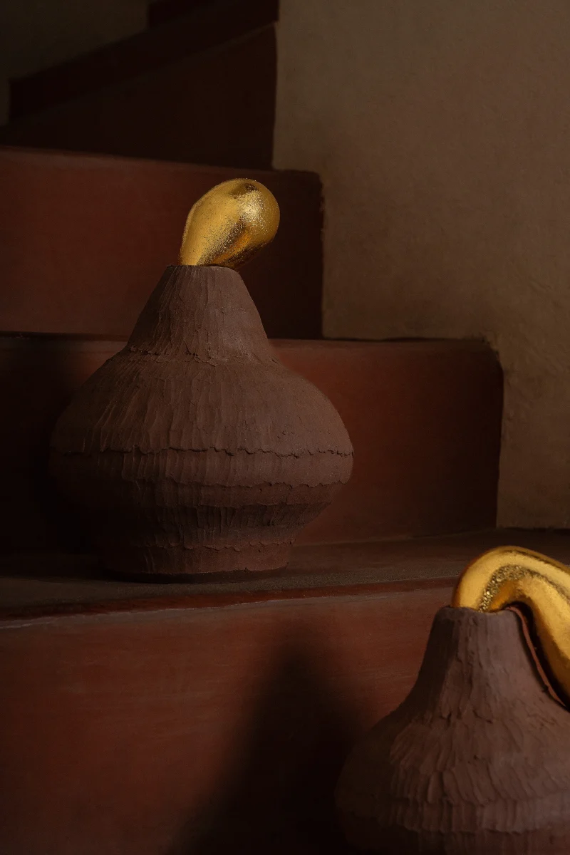 hola-9048-mariadela-fluid-1