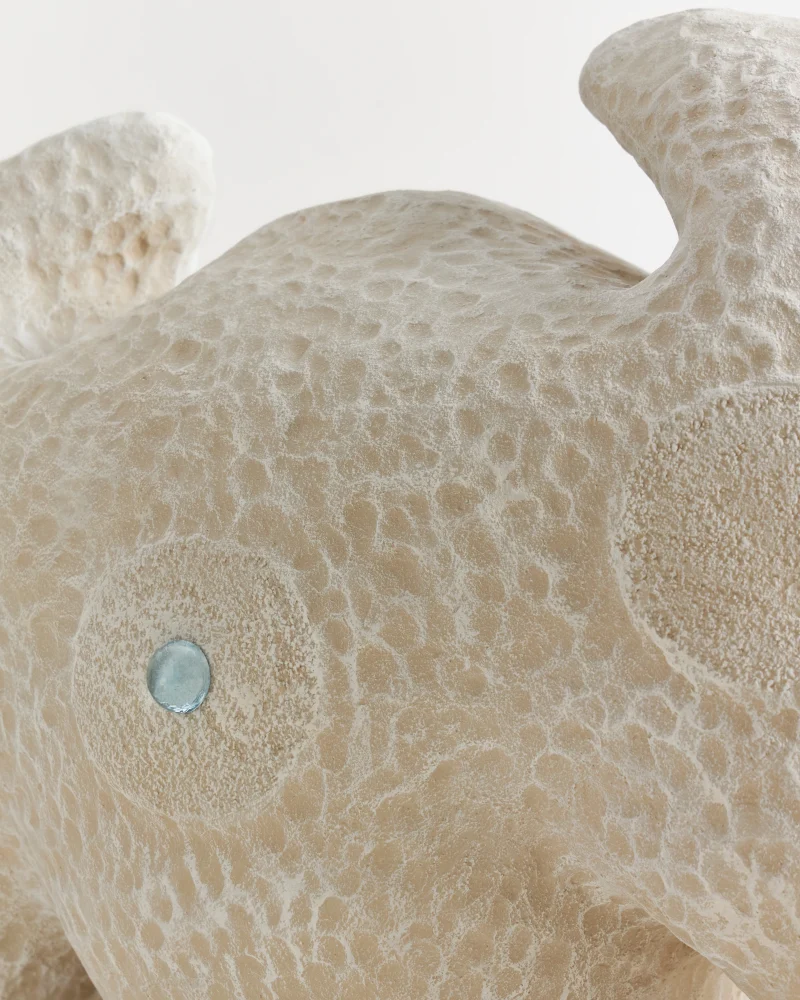 hola-9048-mariadela-fluid-1