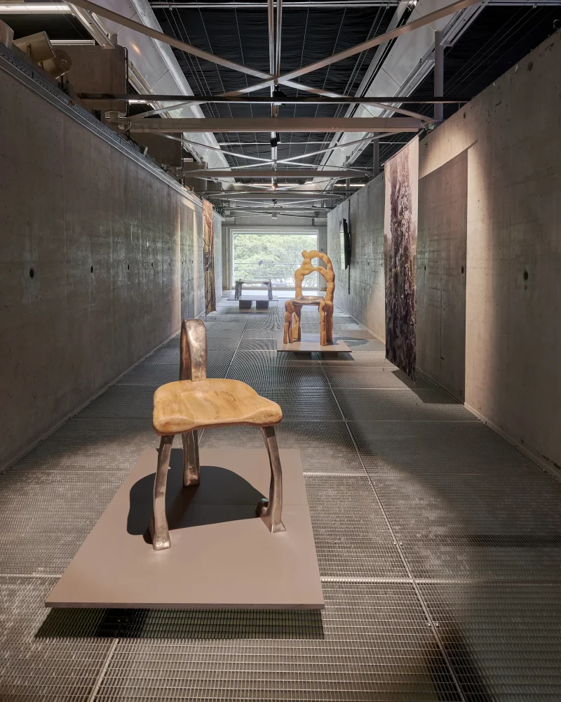 hola-9048-mariadela-fluid-1