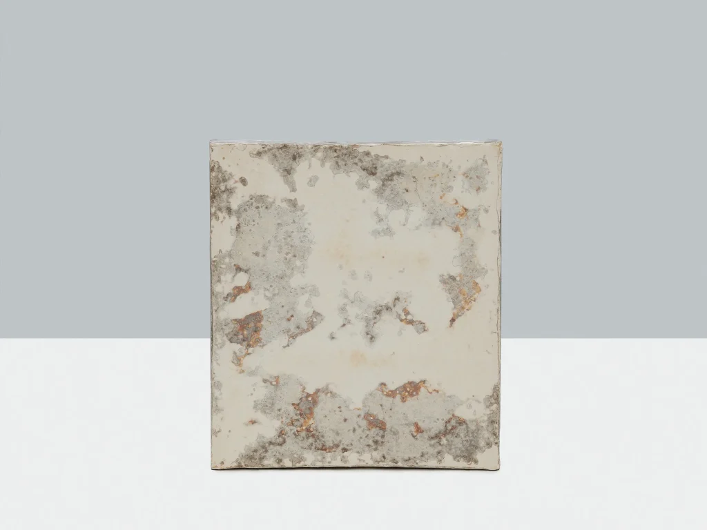 Mycelium Eco-Friendly Acoustic Panel — 3
