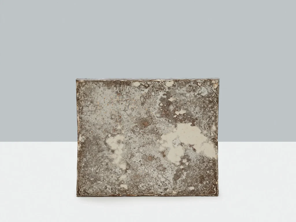 Mycelium Eco-Friendly Acoustic Panel — 4