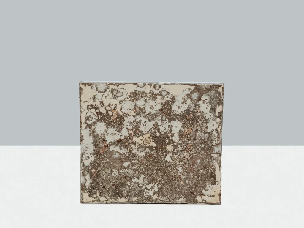 Mycelium Eco-Friendly Acoustic Panel — 6