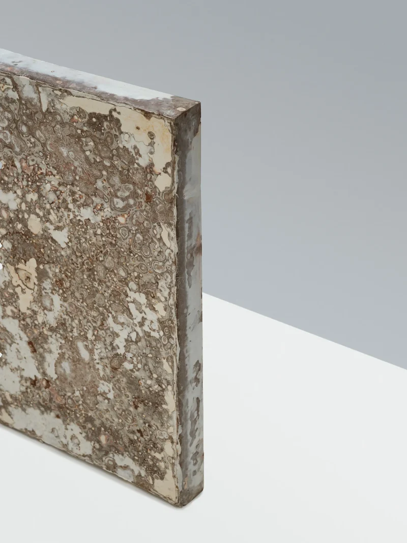 hola-9048-mariadela-fluid-1