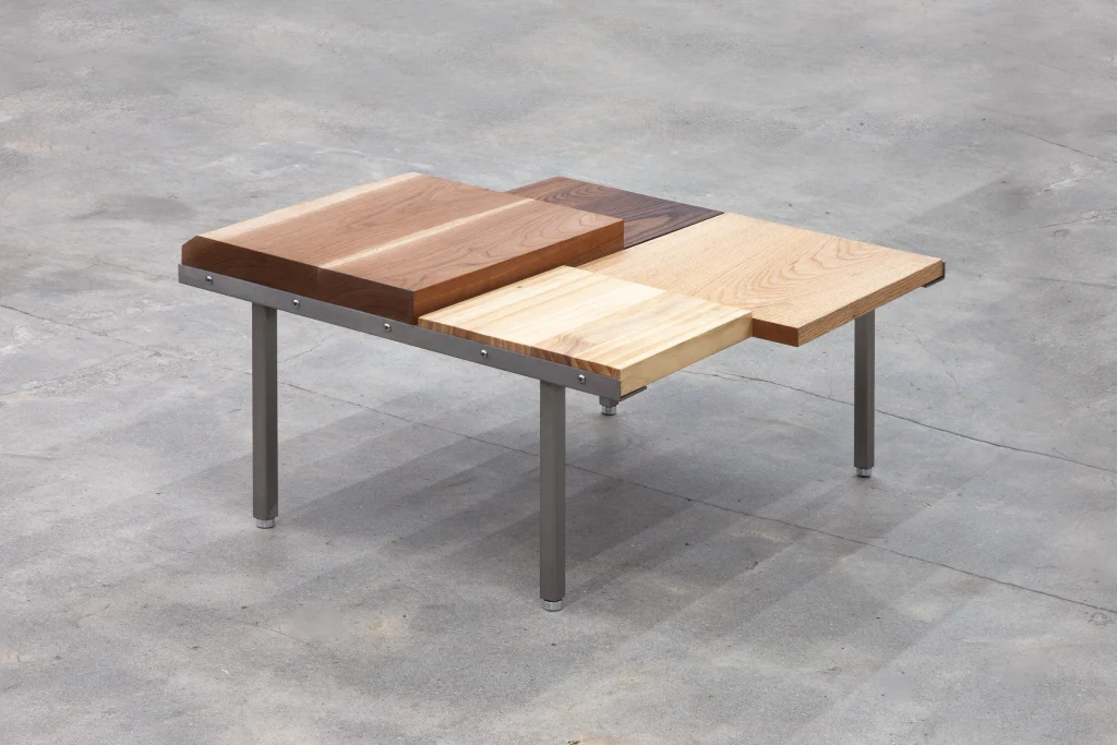 Nonstandard 2 - Discarded Wood Coffee Table — 4