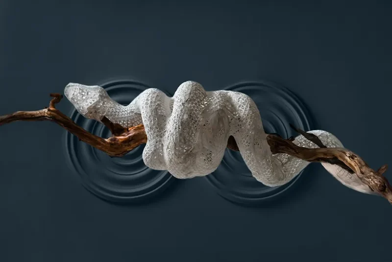 hola-9048-mariadela-fluid-1