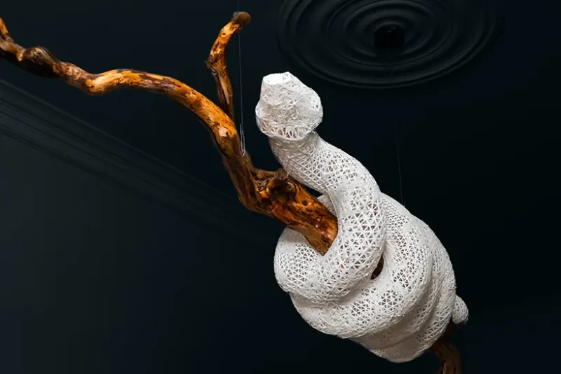 hola-9048-mariadela-fluid-1