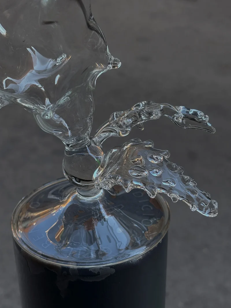 hola-9048-mariadela-fluid-1