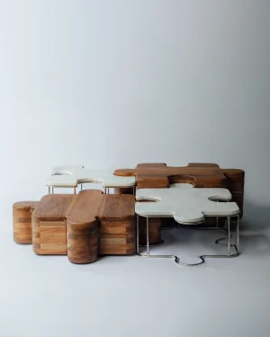 Piezas Coffee Table - Tzalam Wood No. 2