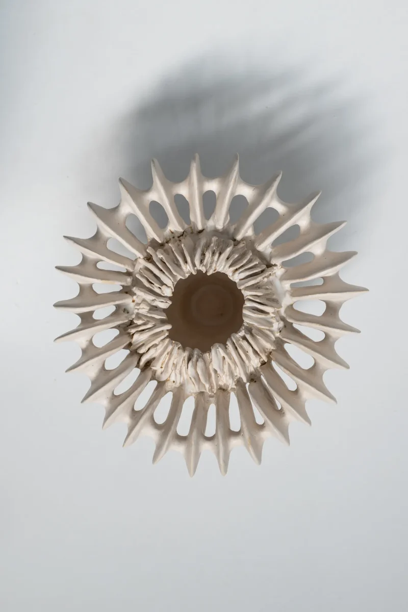 hola-9048-mariadela-fluid-1