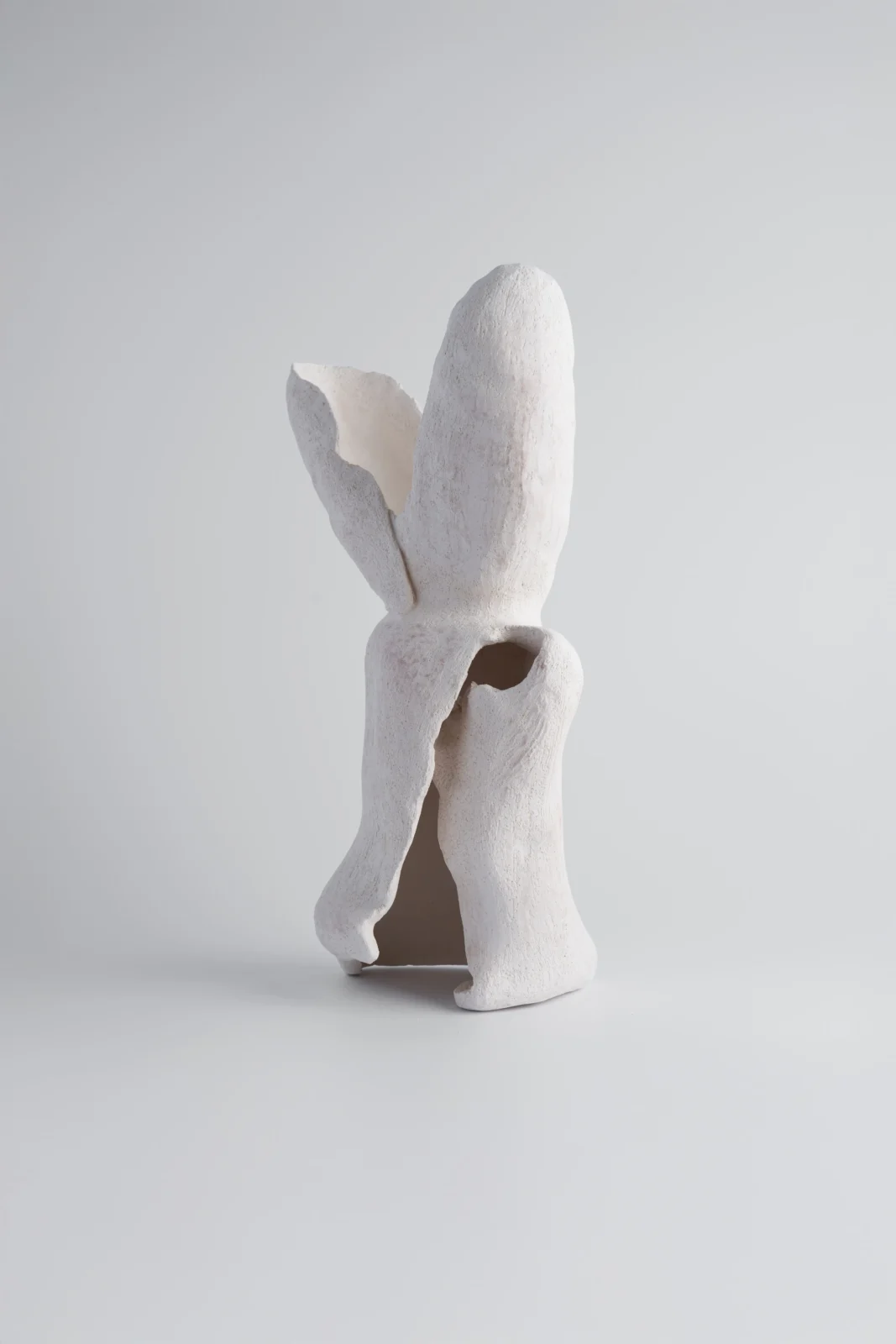 Shell - Ceramic Sculpture — 4