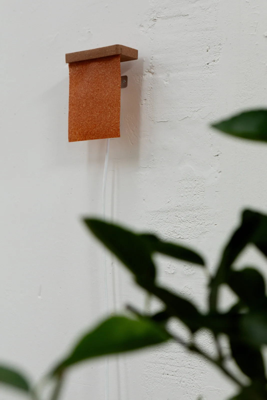 Spelt Bran And Husks - Wall Sconce 1.0 — 2
