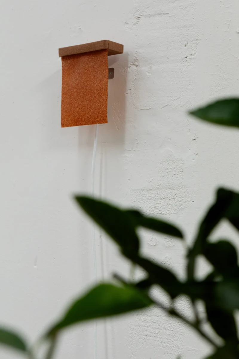 hola-9048-mariadela-fluid-1