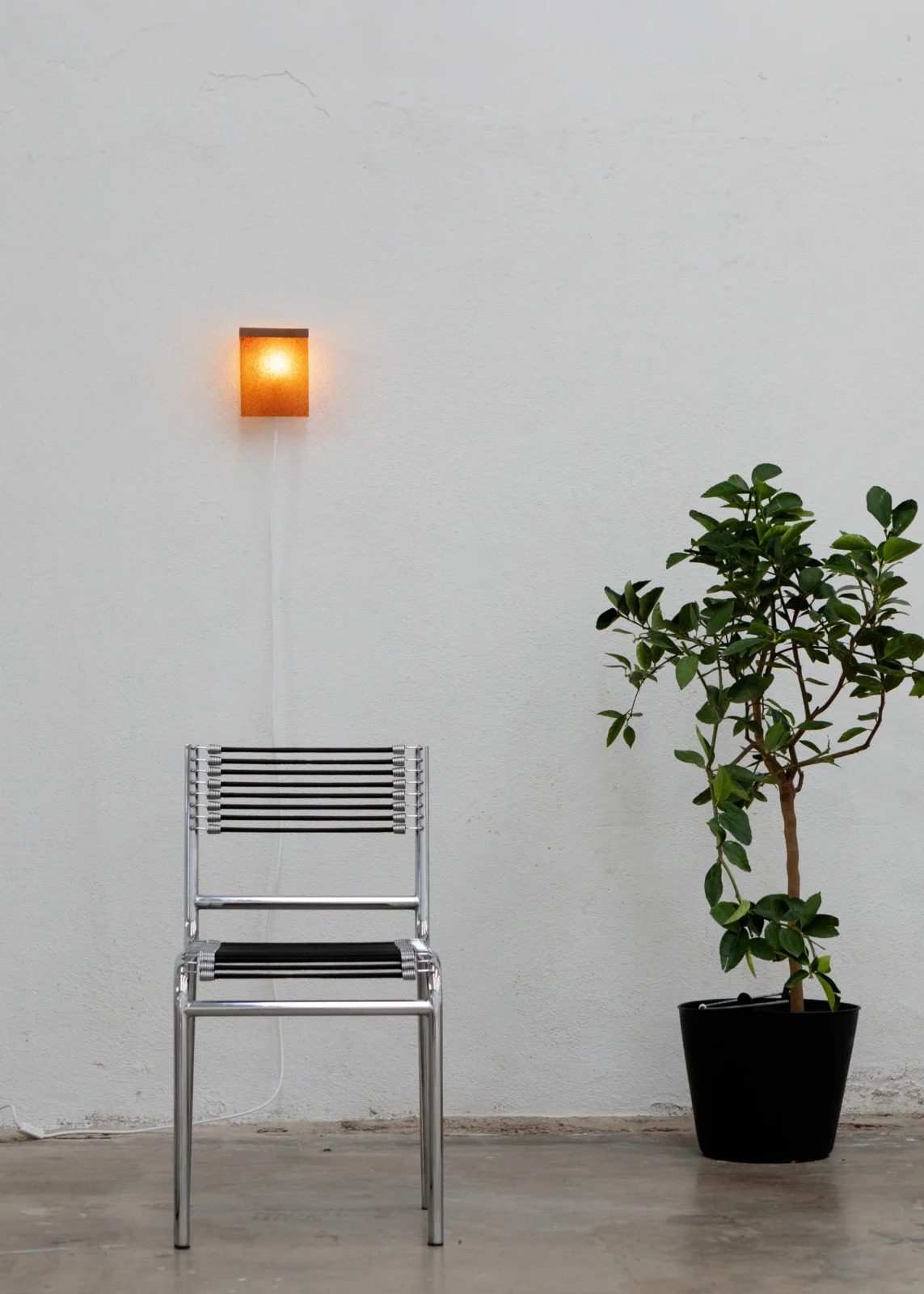 Spelt Bran And Husks - Wall Sconce 1.0 — 3