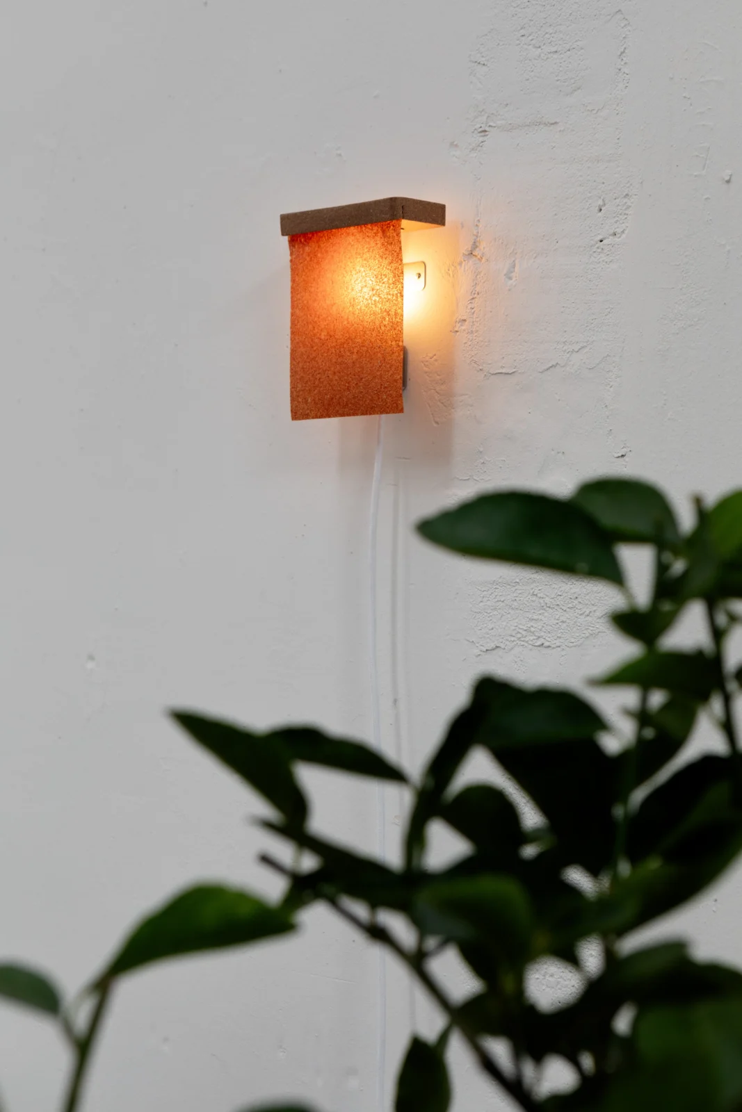 Spelt Bran And Husks - Wall Sconce 1.0 — 4