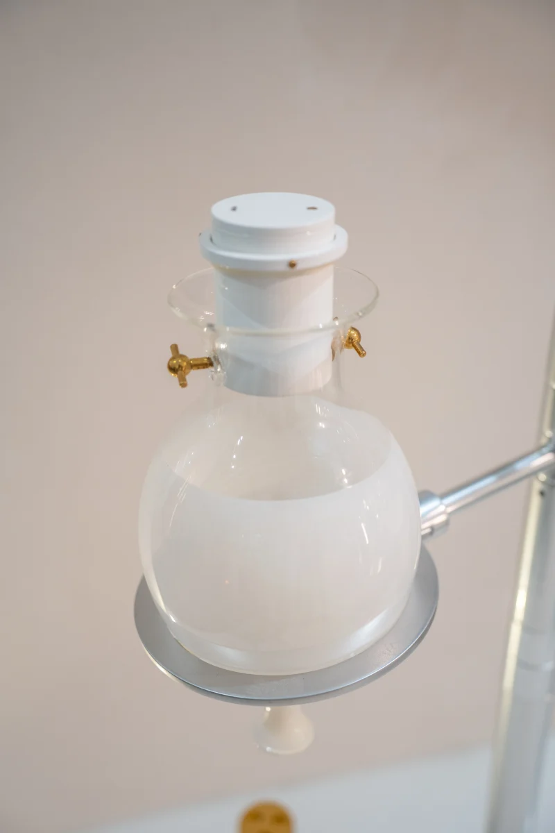 hola-9048-mariadela-fluid-1