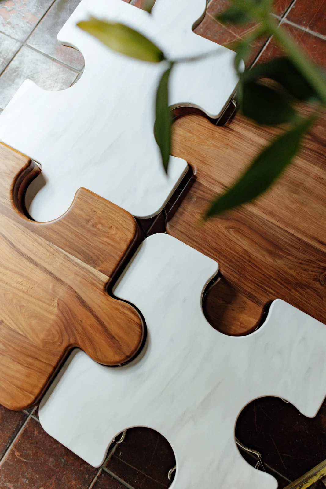 Piezas Coffee Table - Tzalam Wood No. 2 — 2