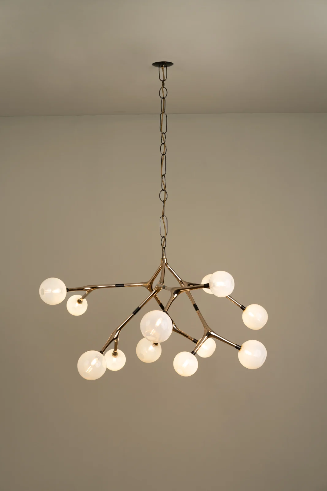 Maratus Ceiling Lamp in Bronze and Glass — 2