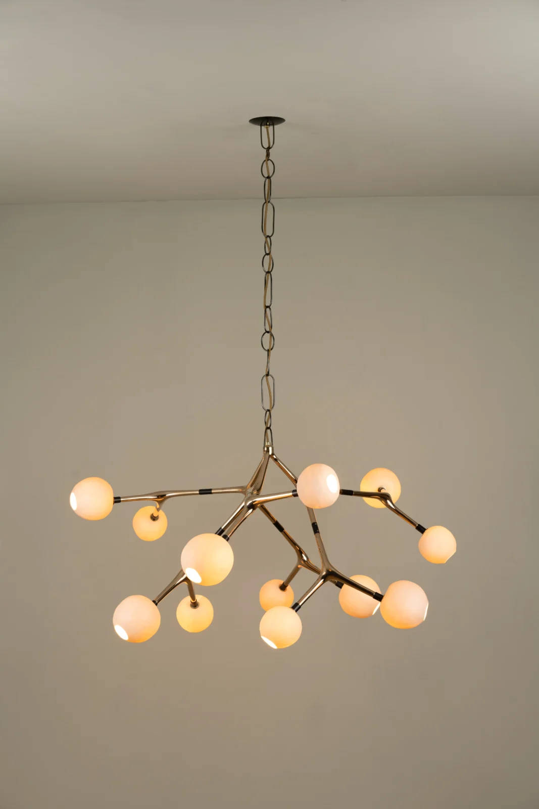 Maratus Ceiling Lamp in Bronze and Glass — 5