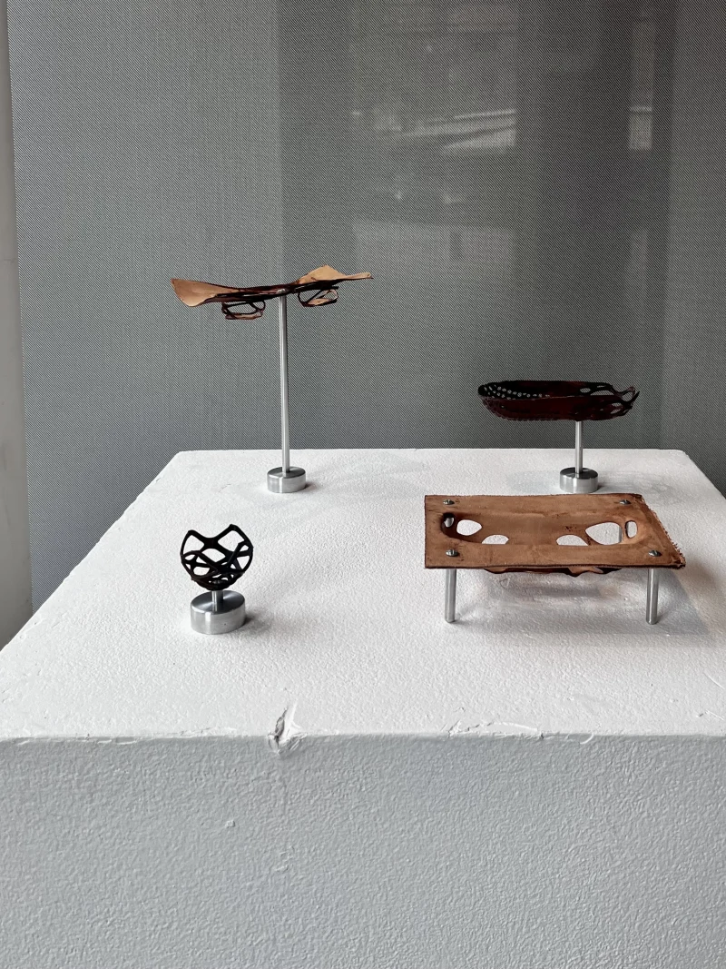 hola-9048-mariadela-fluid-1